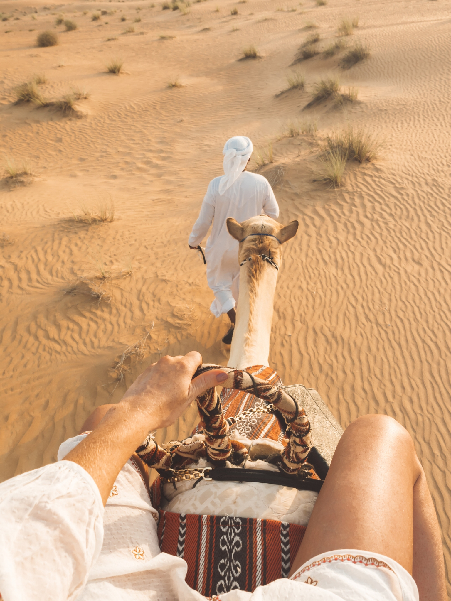 Safari por el desierto de Dubai | MUNDO DE WANDERLUST