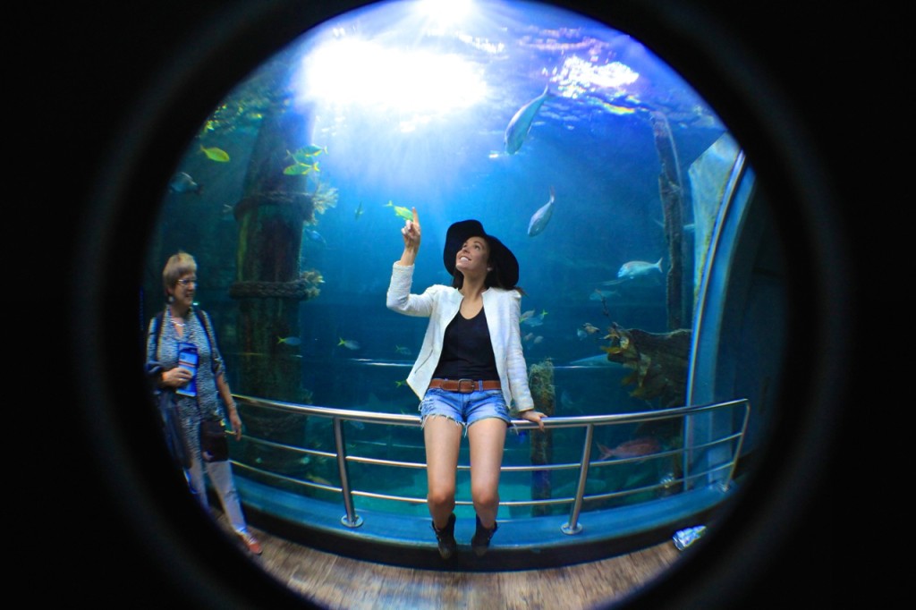 Acuario de Melbourne