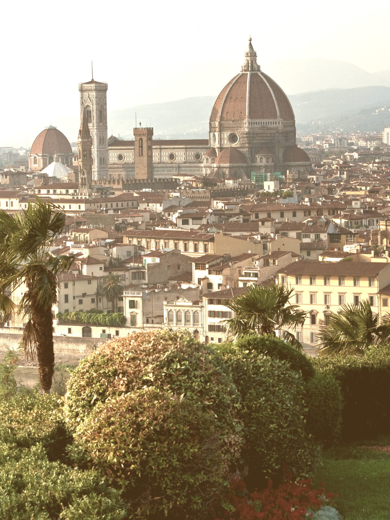 6 Reasons Why you Should Visit Italy in Spring