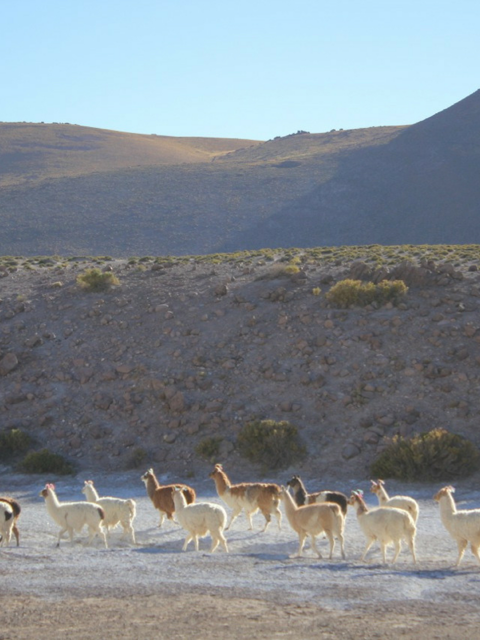 Visiting the Driest Place in the World: San Pedro de Atacama