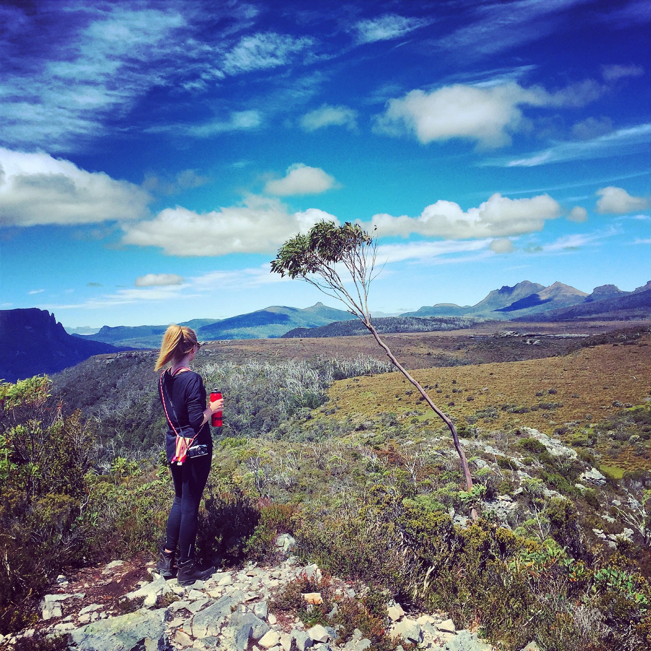 Overland track cheap tour