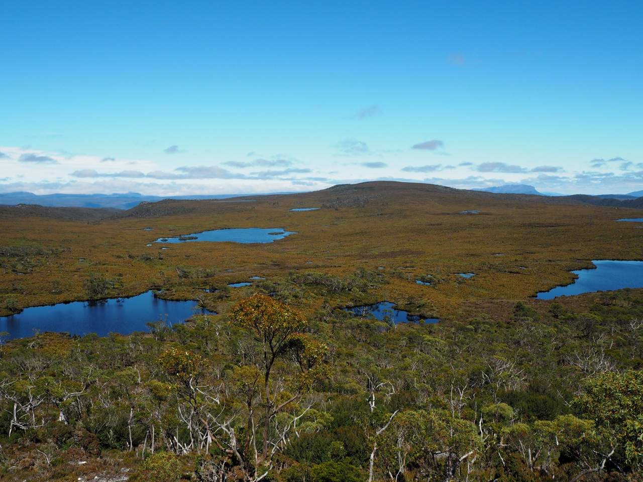 Overland Tasmania