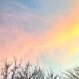top 10 things to do in adelaide