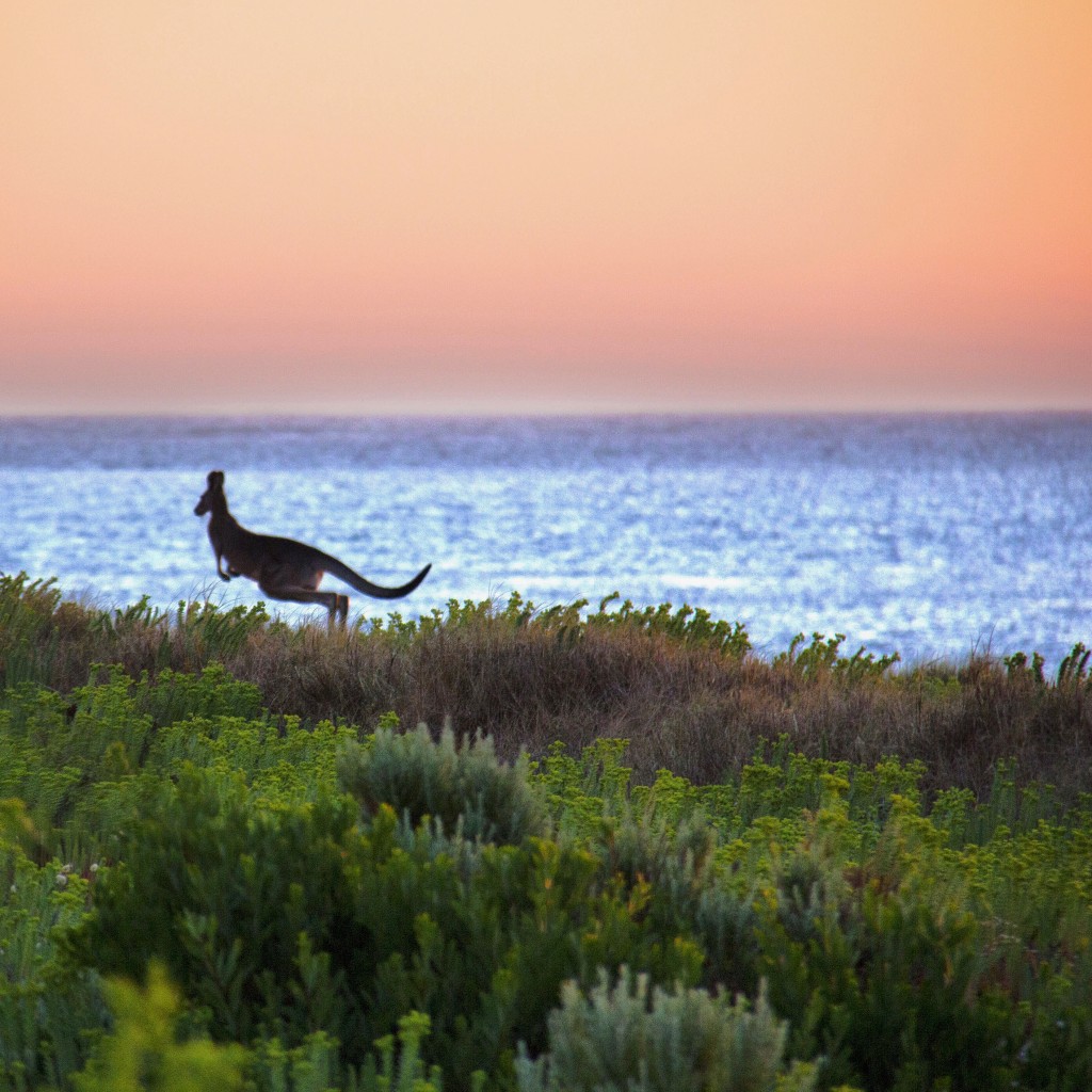 7 lecciones de viaje que Australia te enseñará