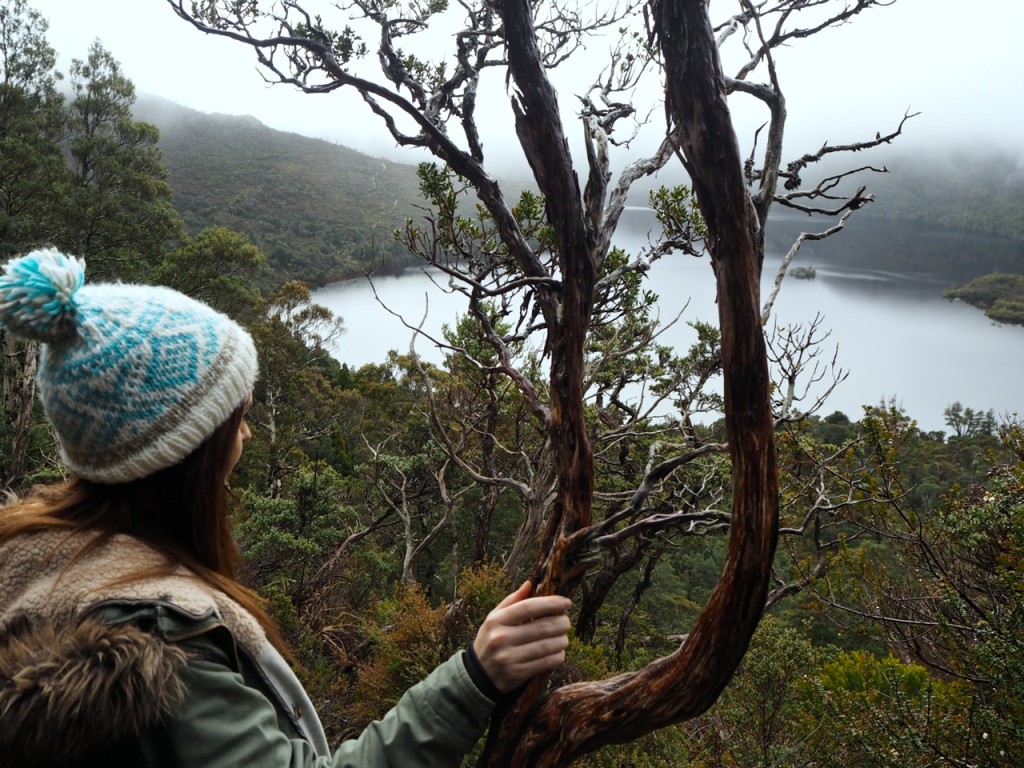 Cradle Mountain