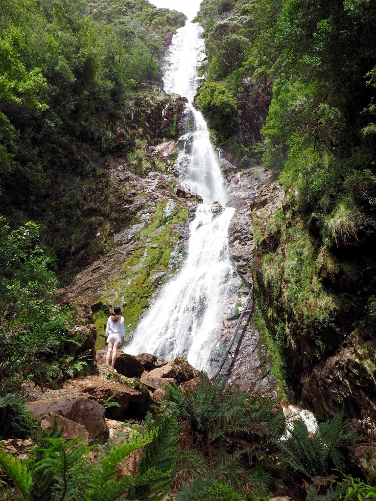 Montezuma Falls Tasmania