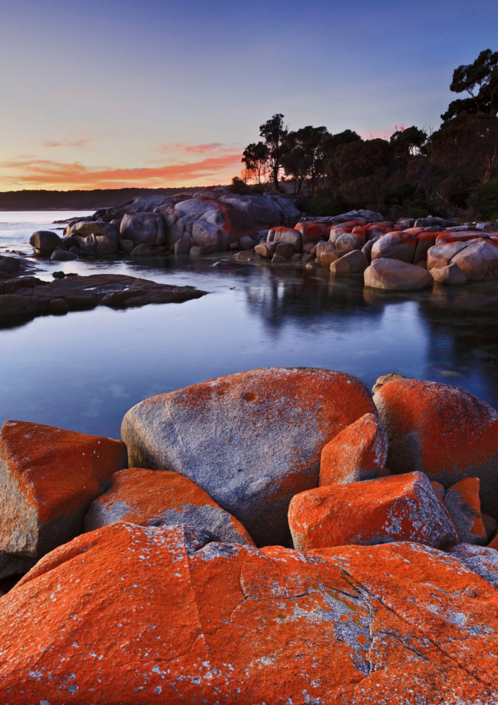 Red Rock beach Tasmania