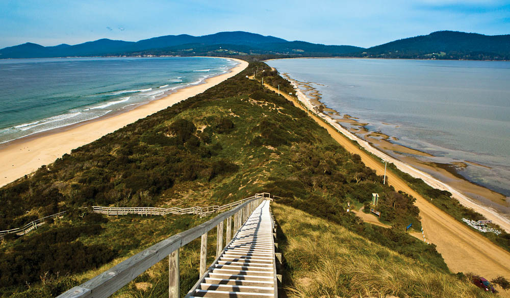 The Neck Bruny Island