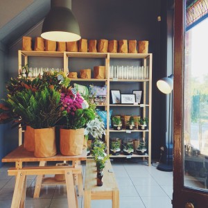 top 10 things to do in adelaide