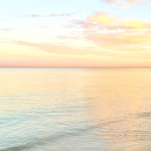 top 10 things to do in adelaide