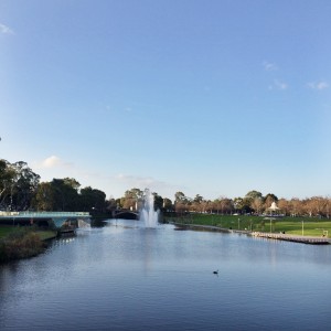 top 10 things to do in adelaide