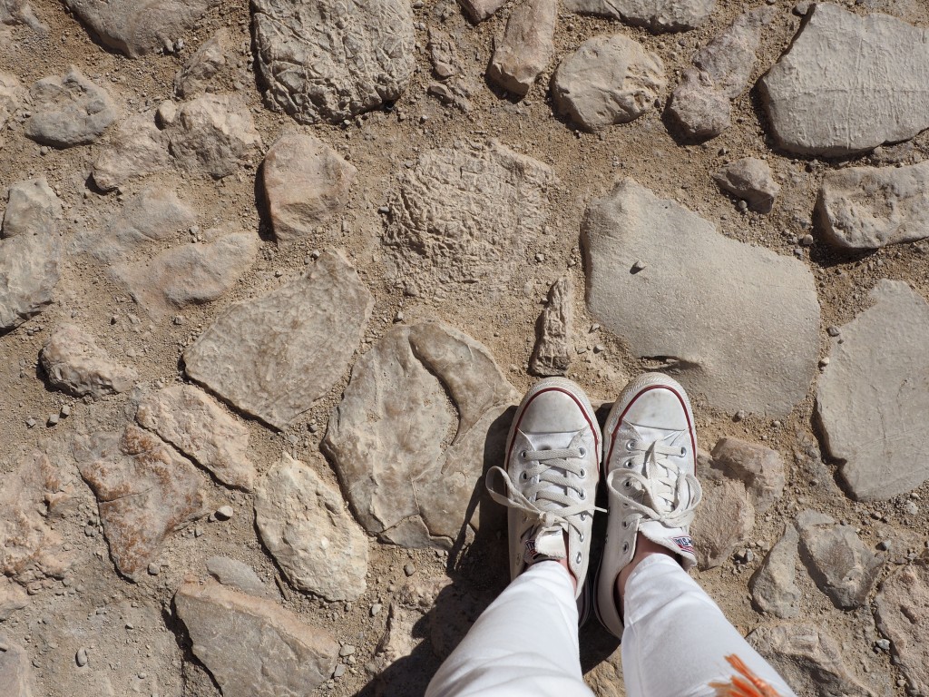 Masada Israel