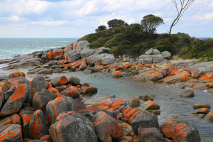 Tasmania_East_Coast