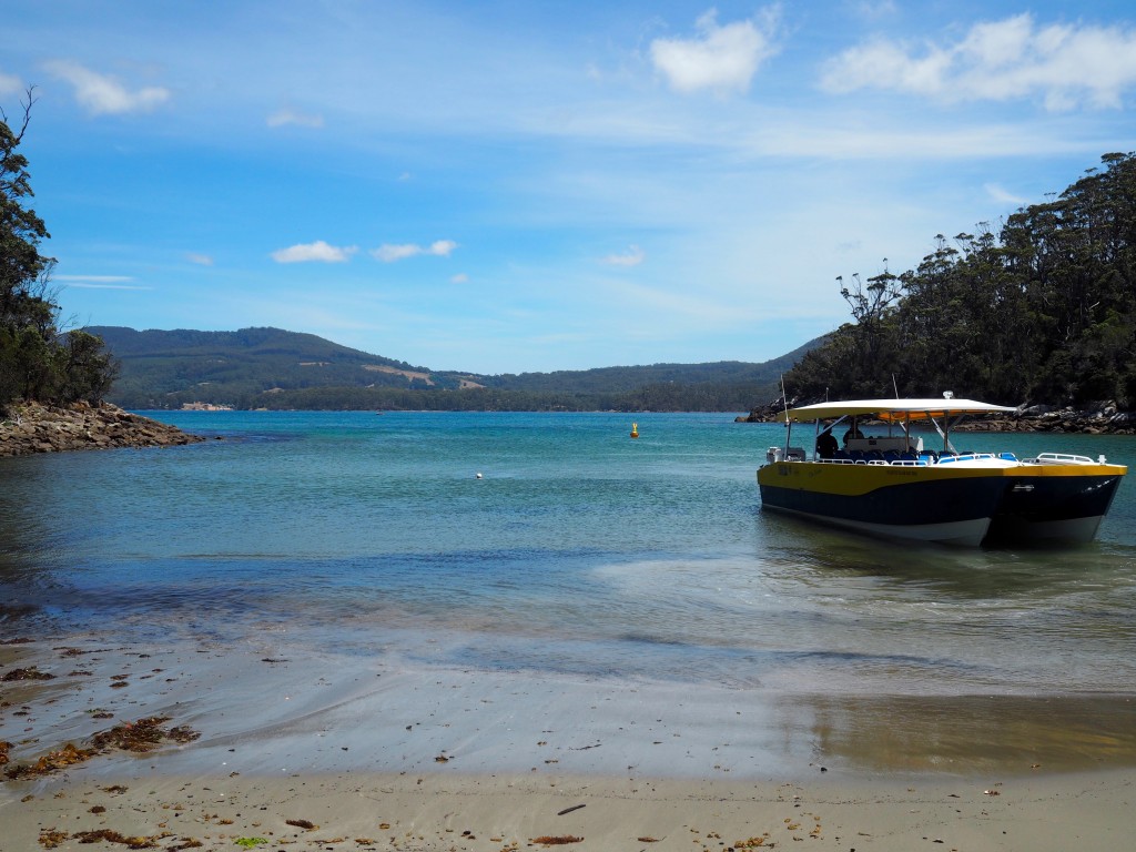 Tres cabos track Tasmania