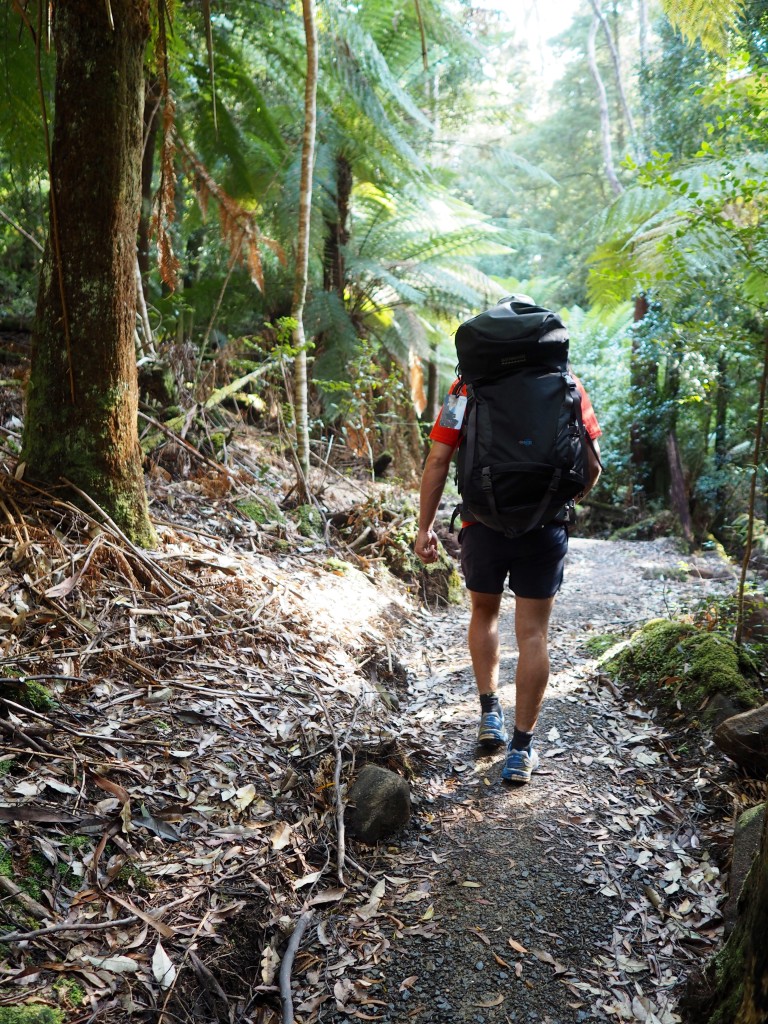 Tres cabos track Tasmania