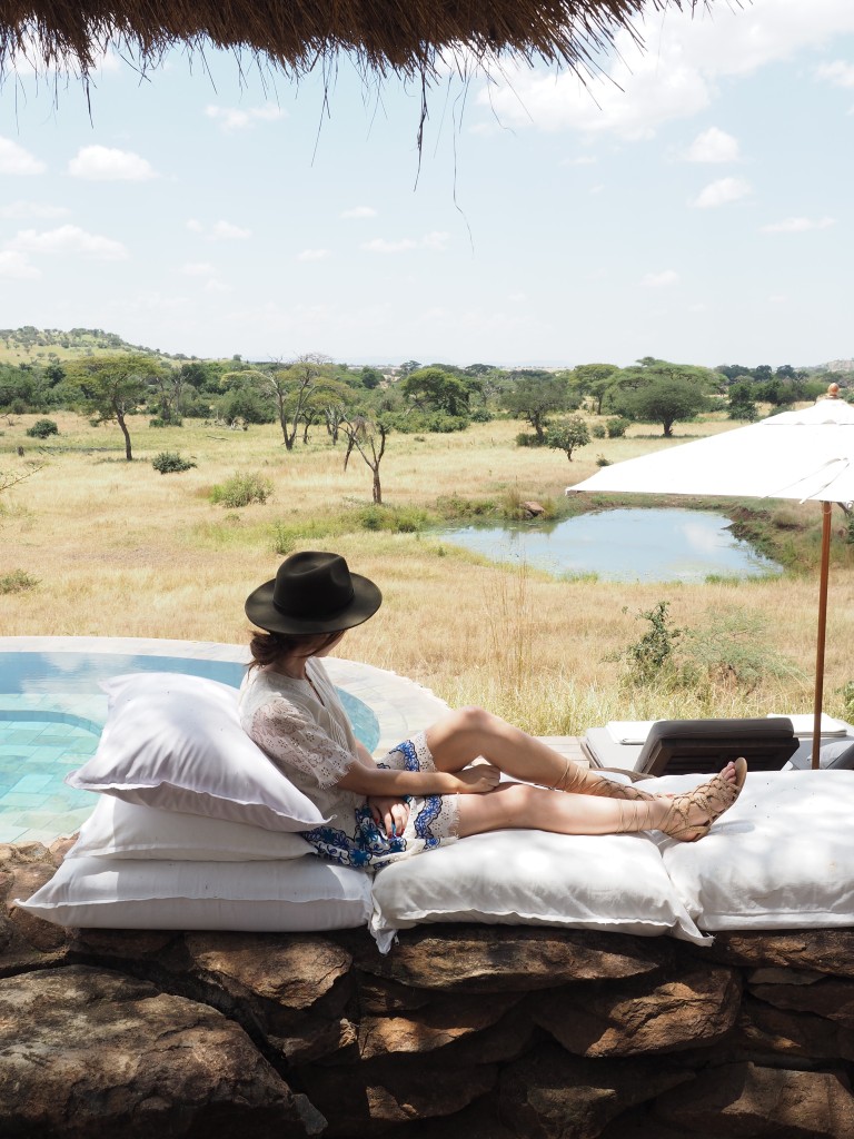 World of Wanderlust Safari Style