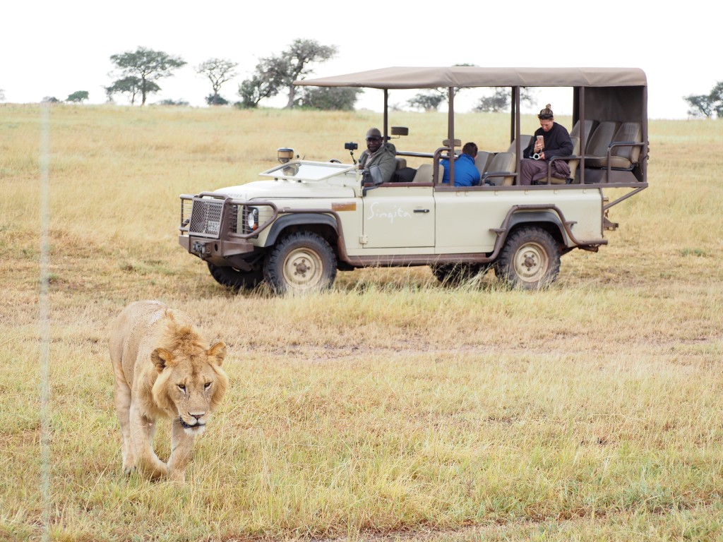 Safari in Tanzania | World of Wanderlust