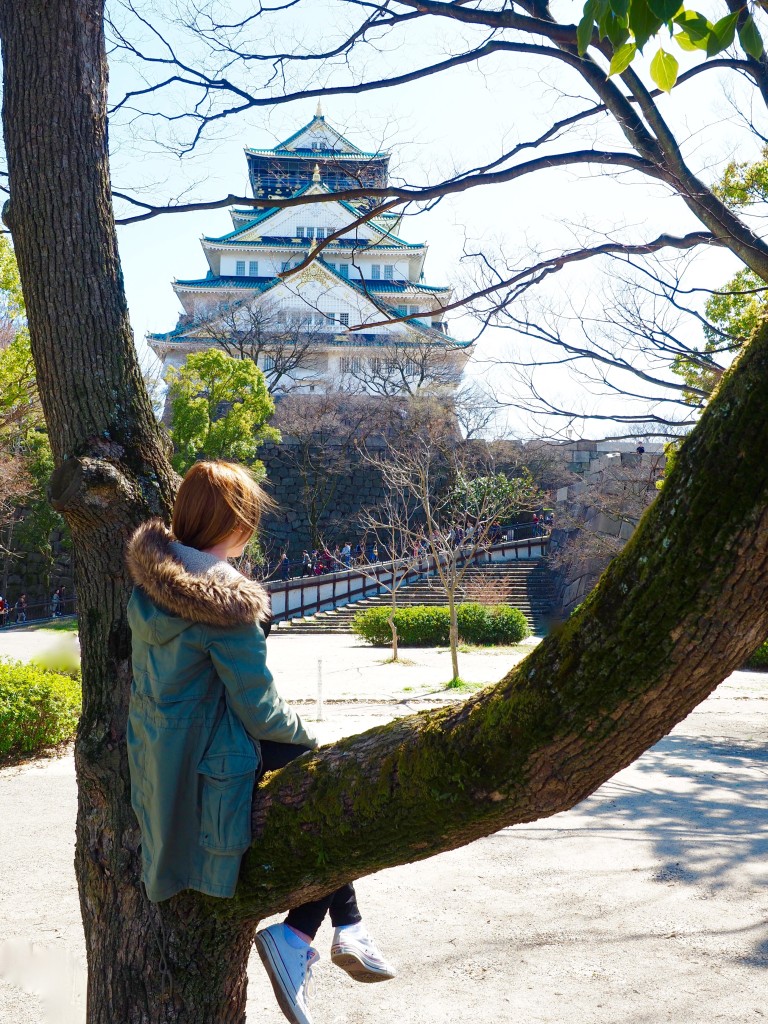 Castillo de Osaka | Mundo de pasión por los viajes