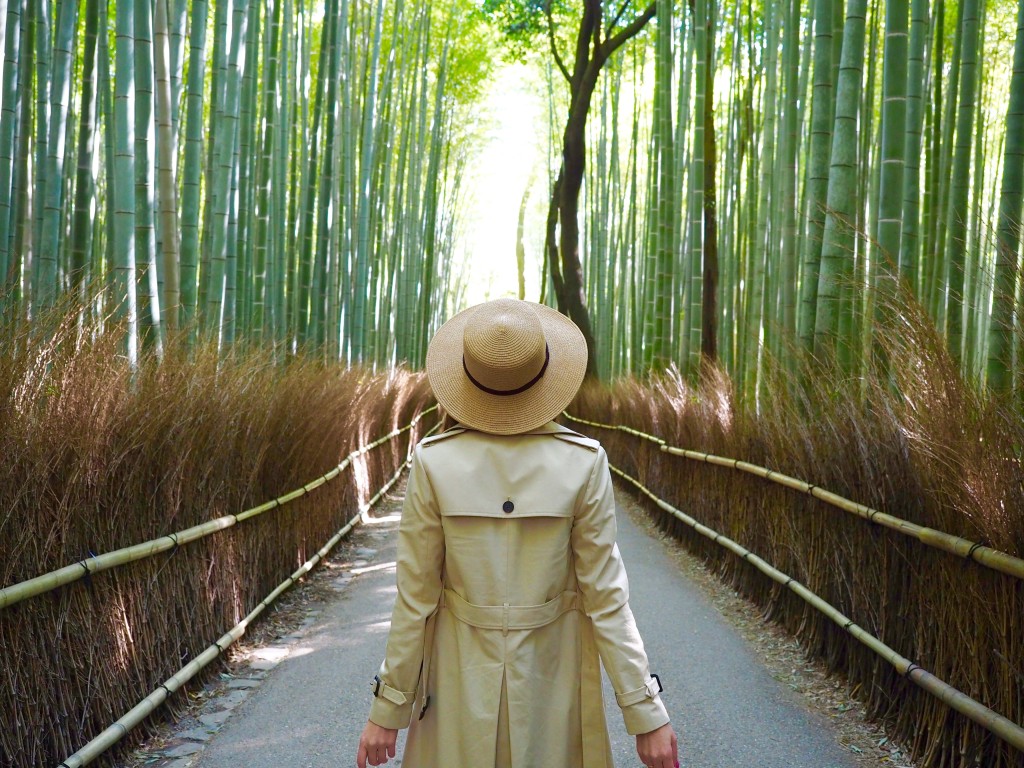 Una guía de Kioto | Mundo de pasión por los viajes