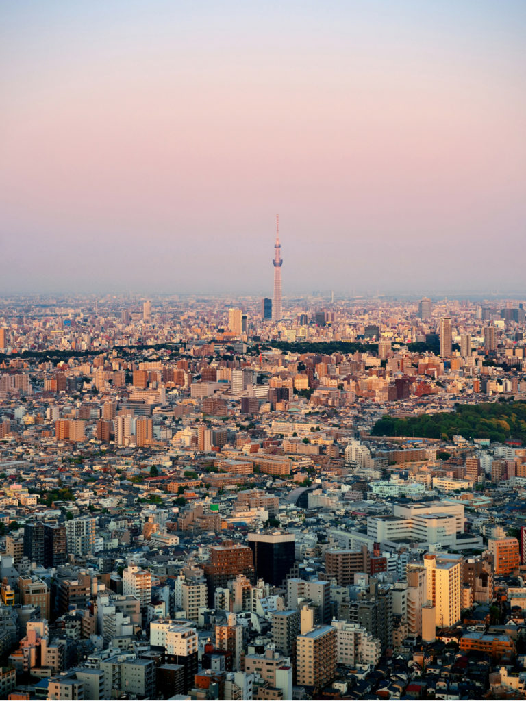 Guide to Tokyo Japan | WORLD OF WANDERLUST