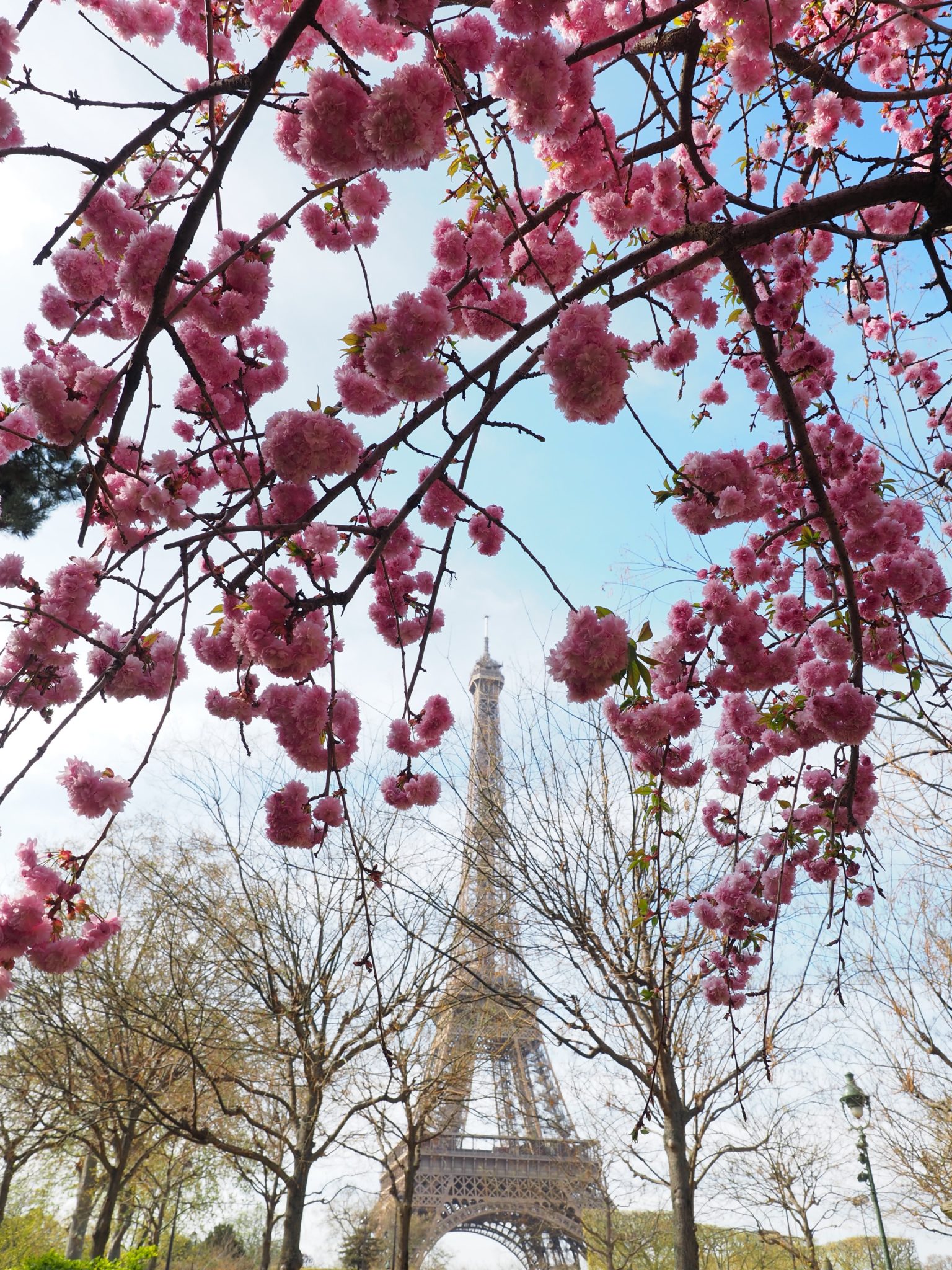 Paris in the Spring