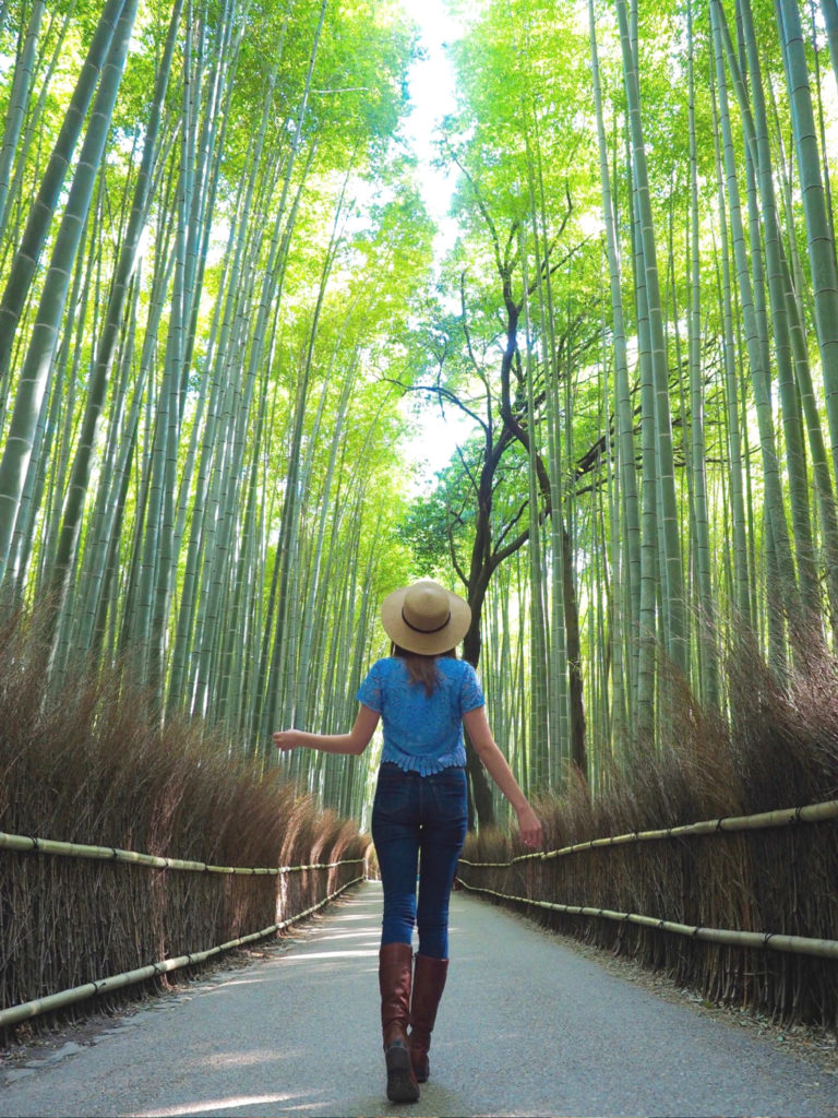 Why you Should Visit Japan | WORLD OF WANDERLUST