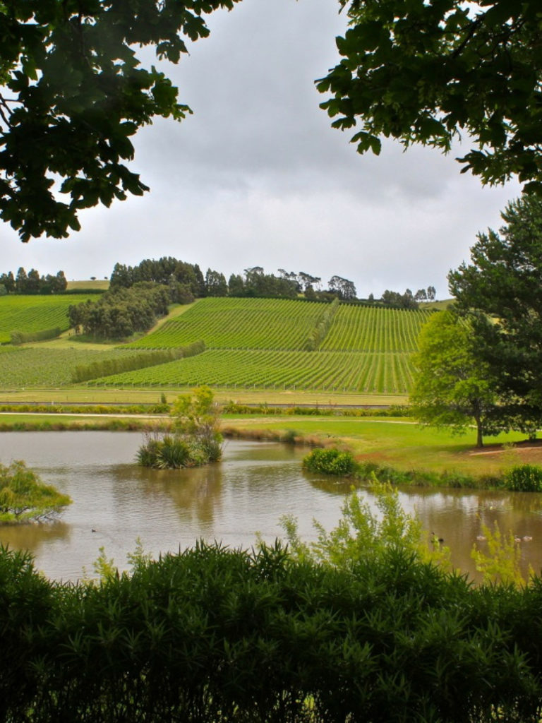 Guía de Launceston Tasmania | GUAU