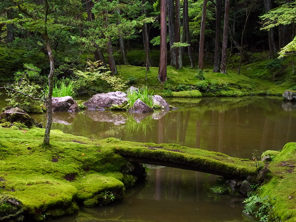 Moss Garden Kioto