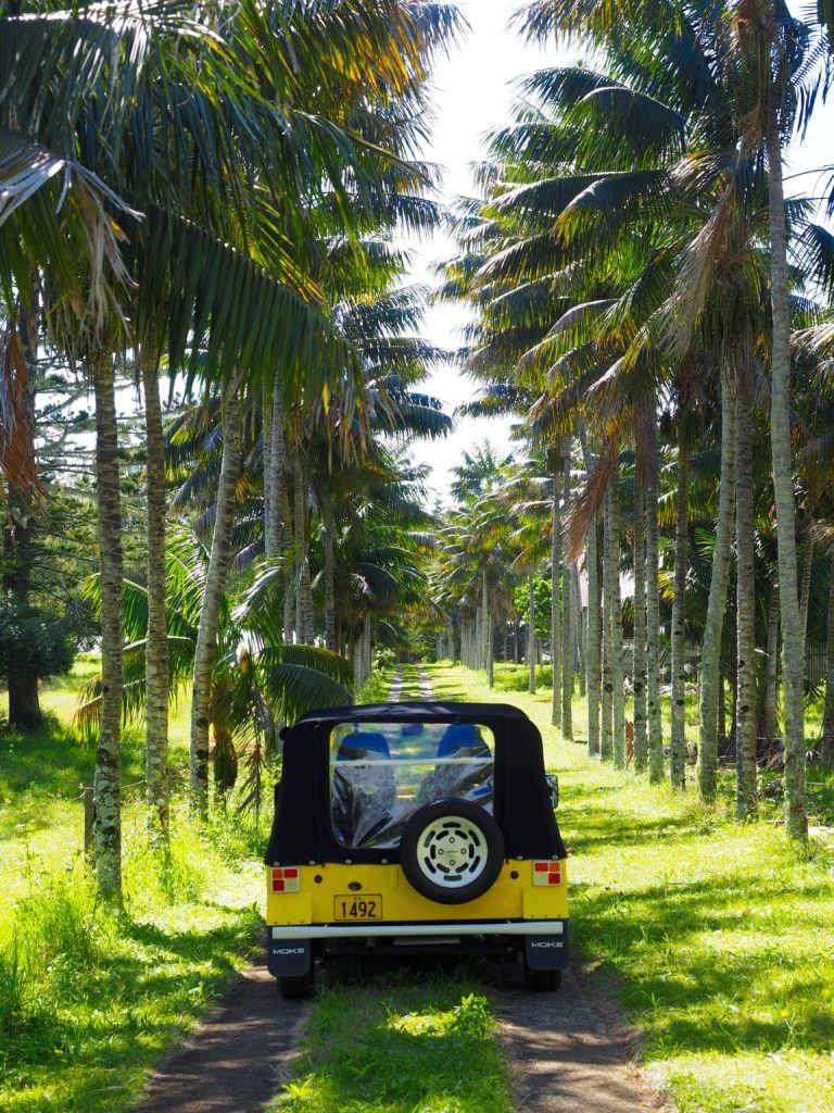 Norfolk_Island_South_Pacific