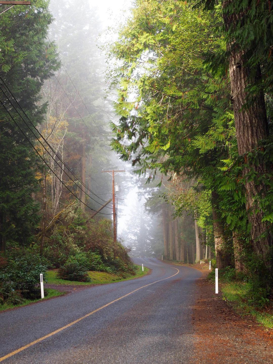 How to Spend 48 Hours in Victoria, BC World of Wanderlust