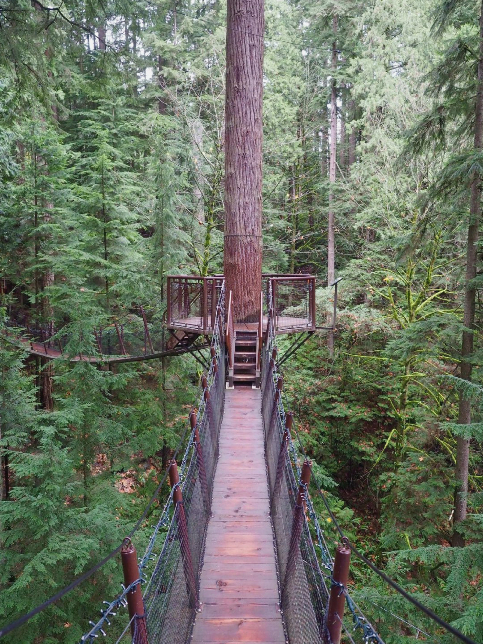 How to Spend 48 Hours in Vancouver