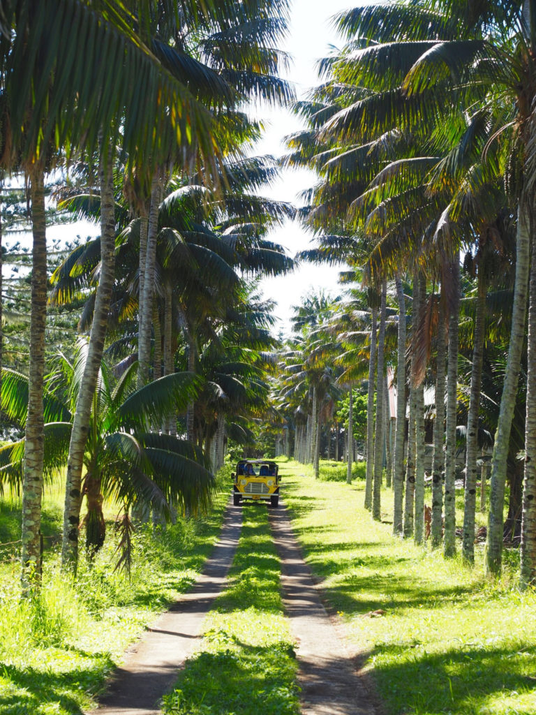 Norfolk Island Australia | WORLD OF WANDERLUST