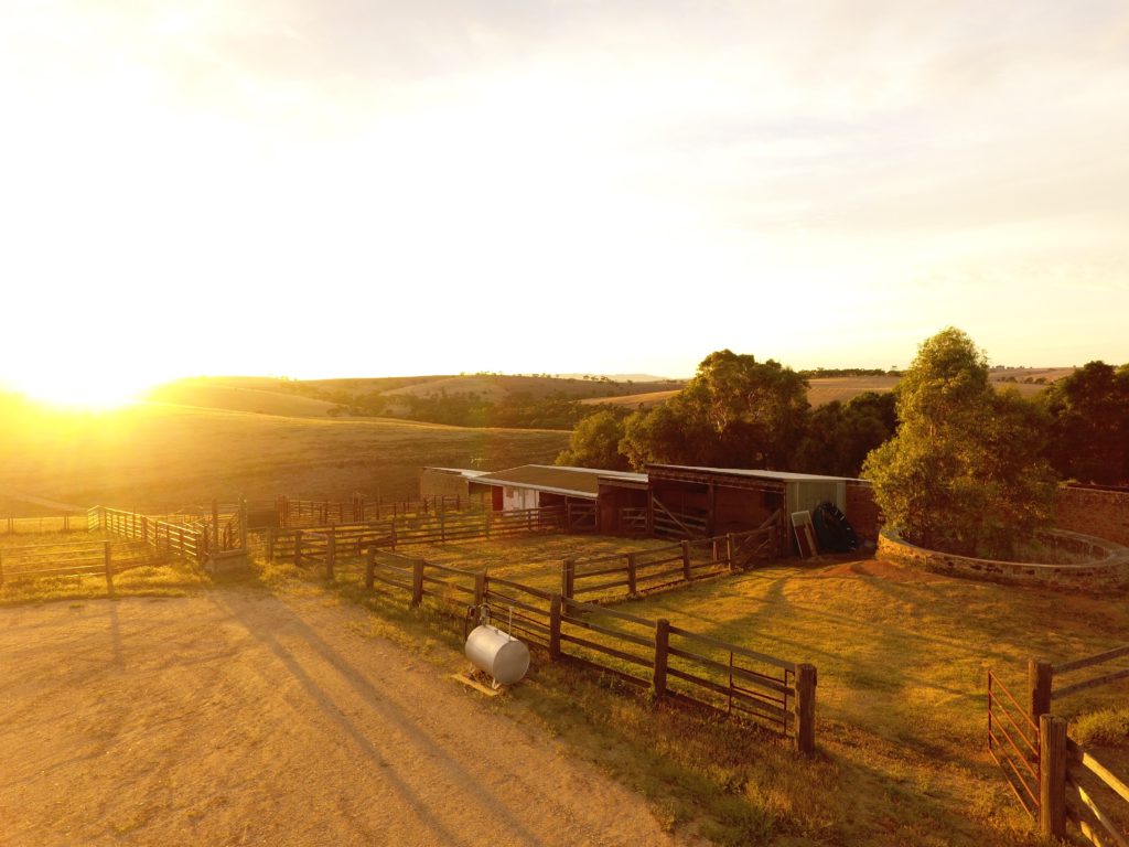 Una guía para visitar el valle de Barossa |  Mundo de pasión por los viajes