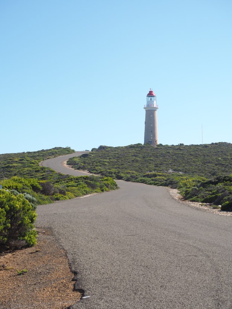 A Guide to visiting Kangaroo Island | World of Wanderlust