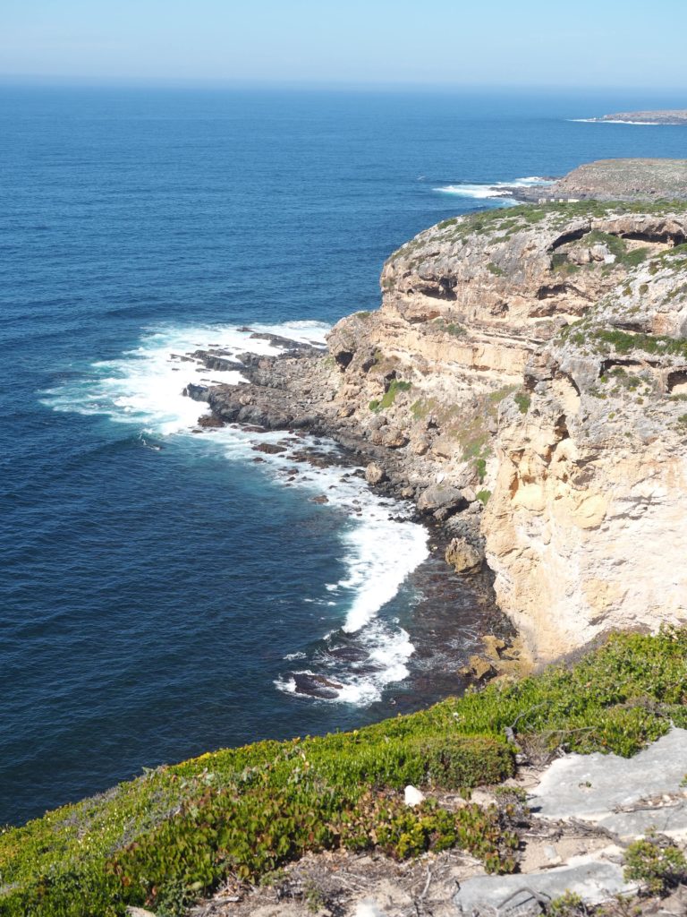 Una guía para visitar la isla Canguro |  Mundo de pasión por los viajes