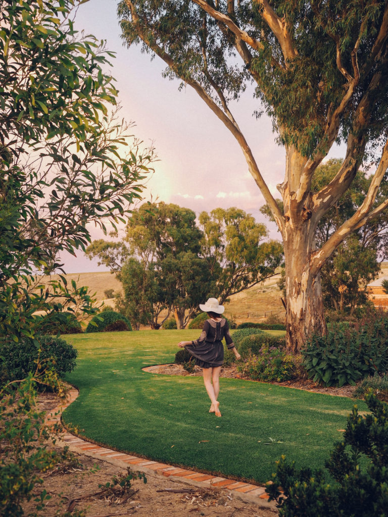 A Guide to visiting the Barossa Valley | World of Wanderlust