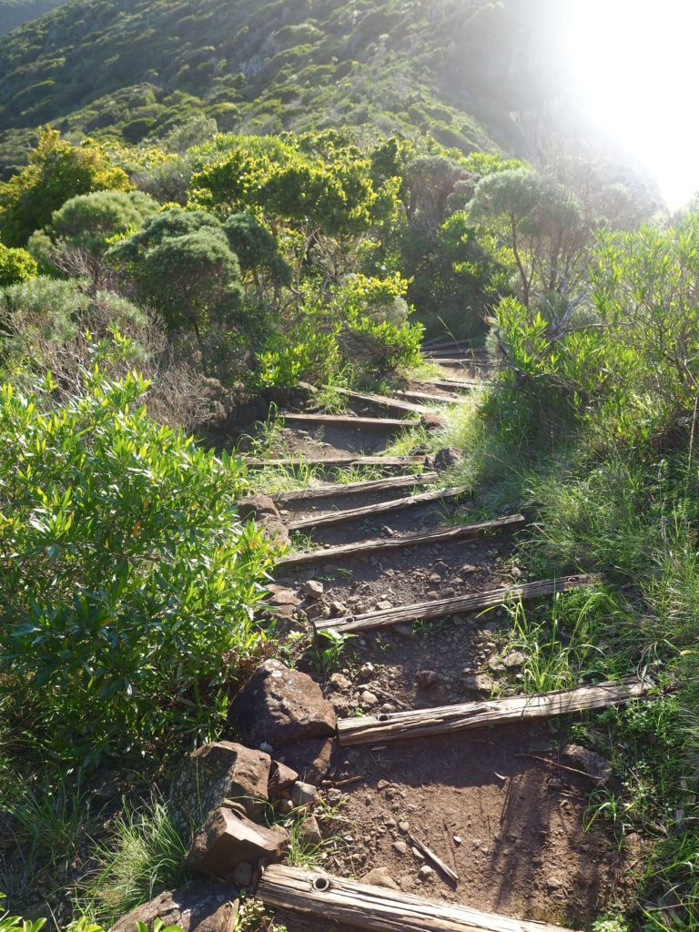 Lord Howe Island Travel Guide | World of Wanderlust