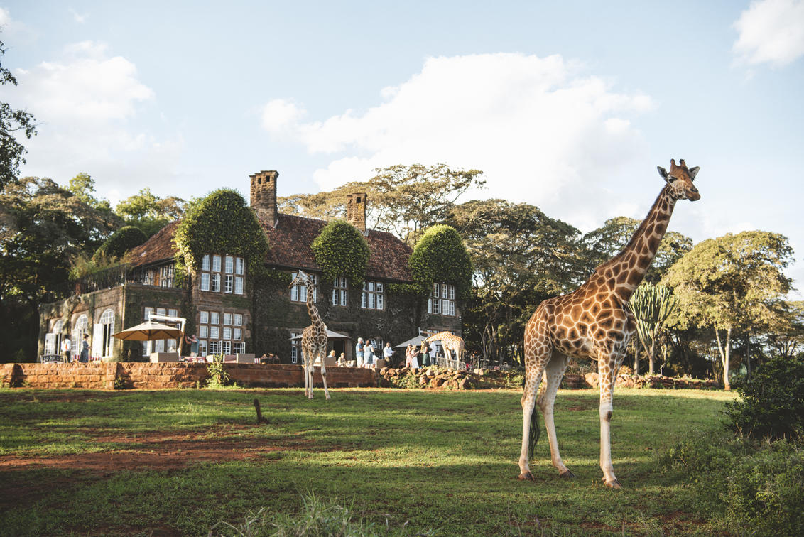 What to expect when you stay at Giraffe Manor, Kenya