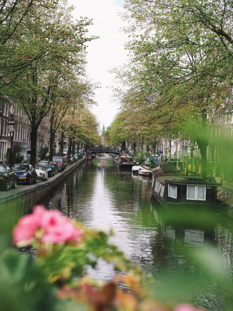 Diario fotográfico de Amsterdam |  Mundo de pasión por los viajes