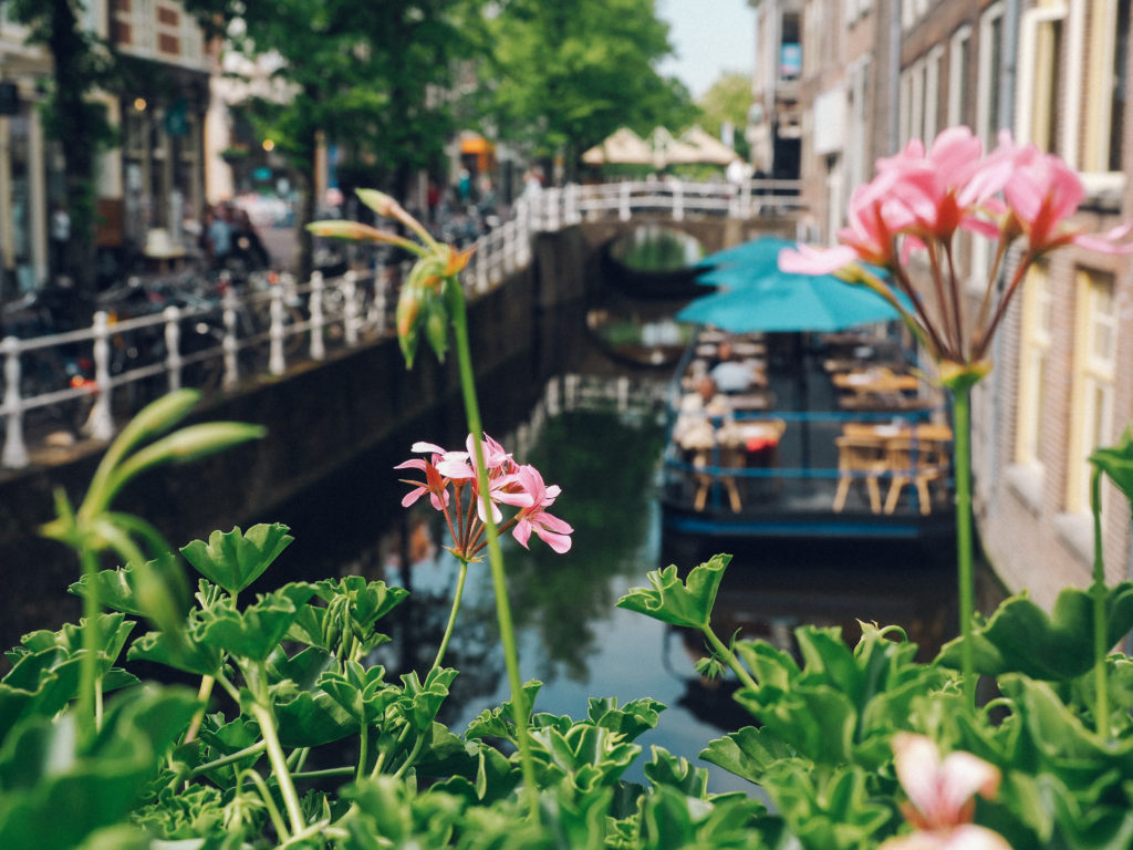 Day Trip to Delft | World of Wanderlust