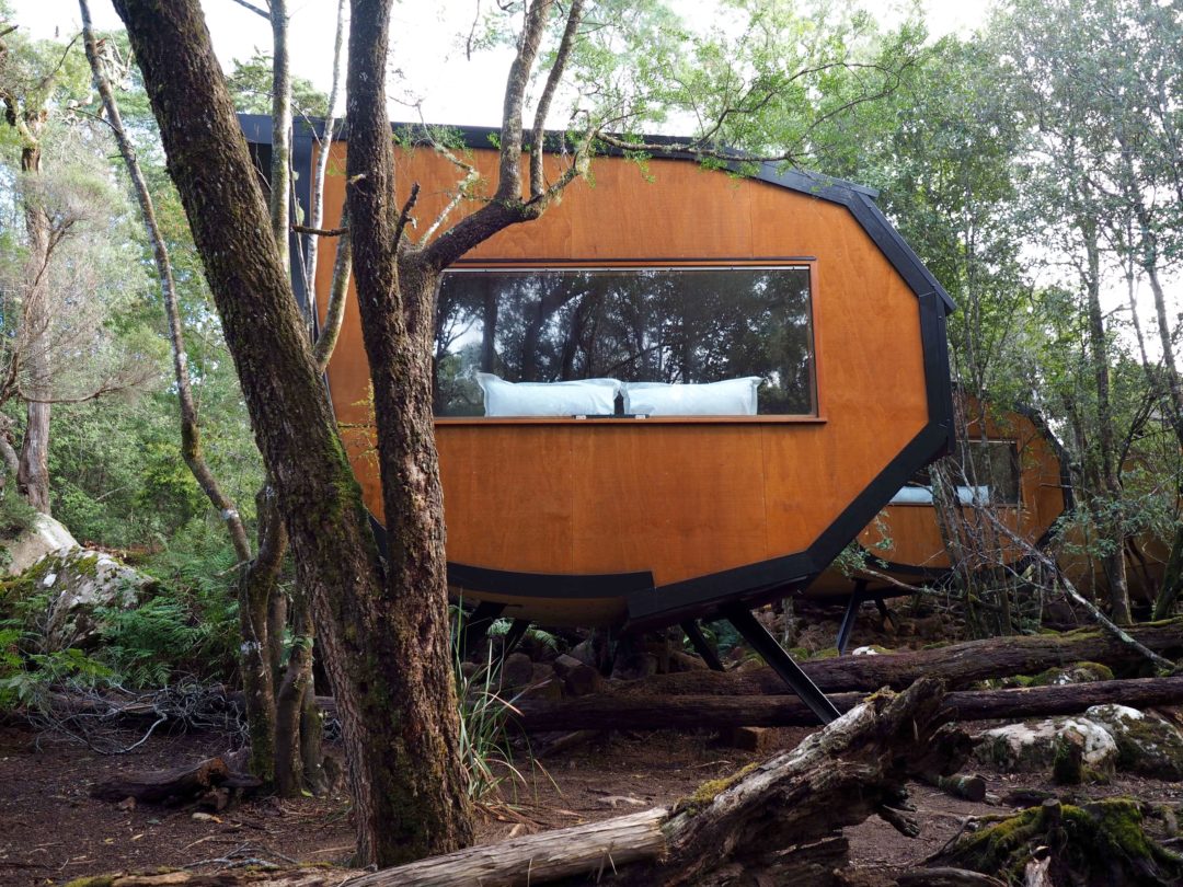 How to visit the Floating Sauna in Derby, Tasmania World of Wanderlust
