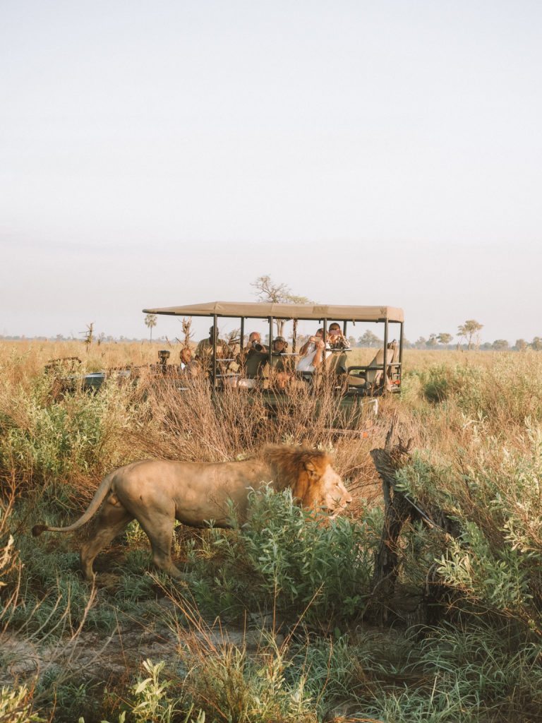 Sandibe Okavango Safari Lodge | WORLD OF WANDERLUST