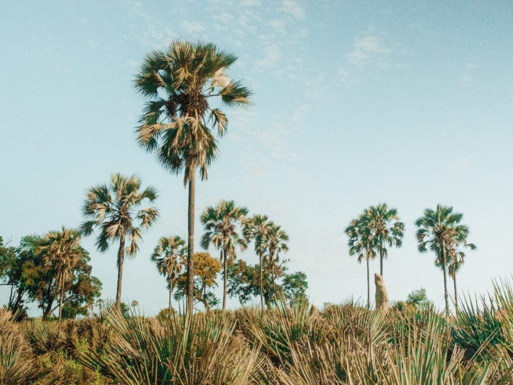 Campamento de tiendas de campaña Nxabega Botswana |  MUNDO DE WANDERLUST