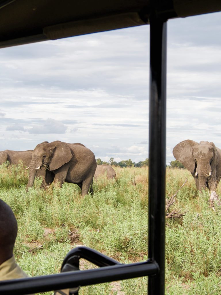 Campamento de tiendas de campaña de Nxabega Botswana |  MUNDO DE WANDERLUST