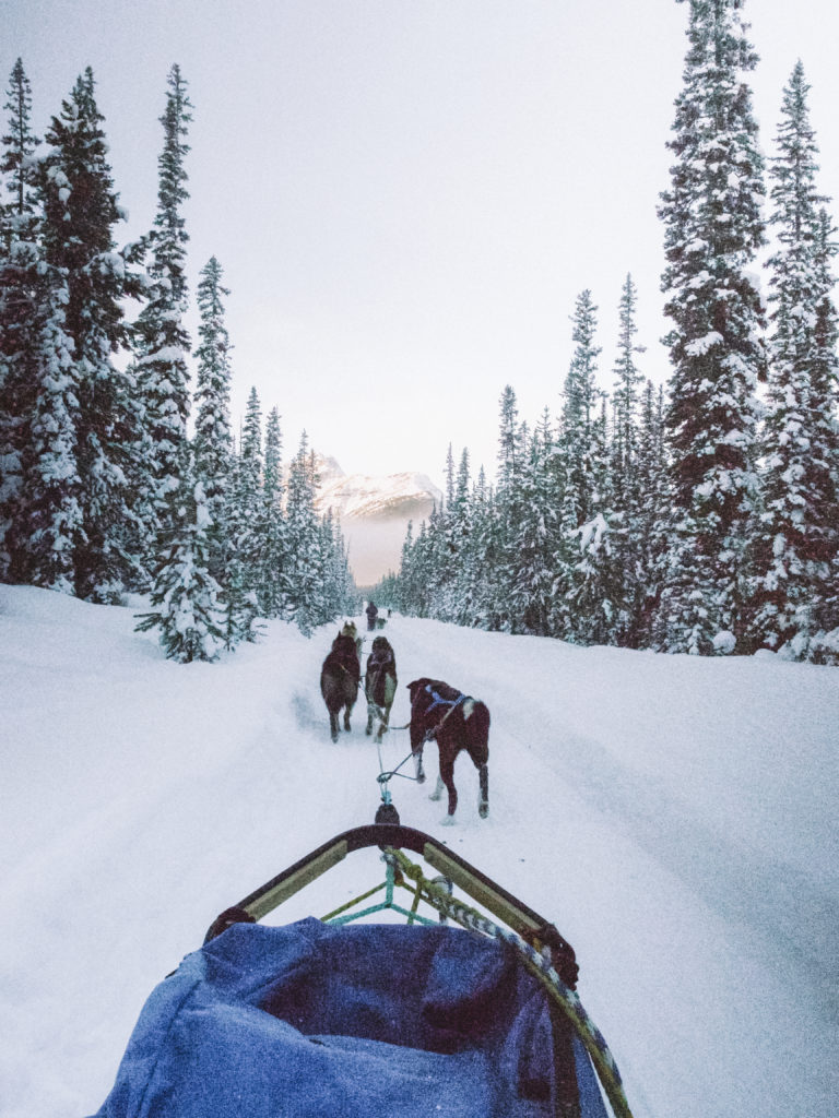 Inverno em Alberta | WORLD OF WANDERLUST