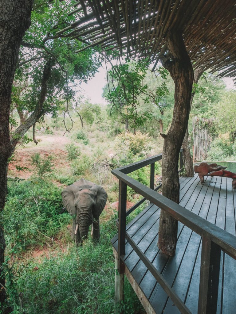 Singita Boulders Lodge |  VANDRINGSVÄRLD