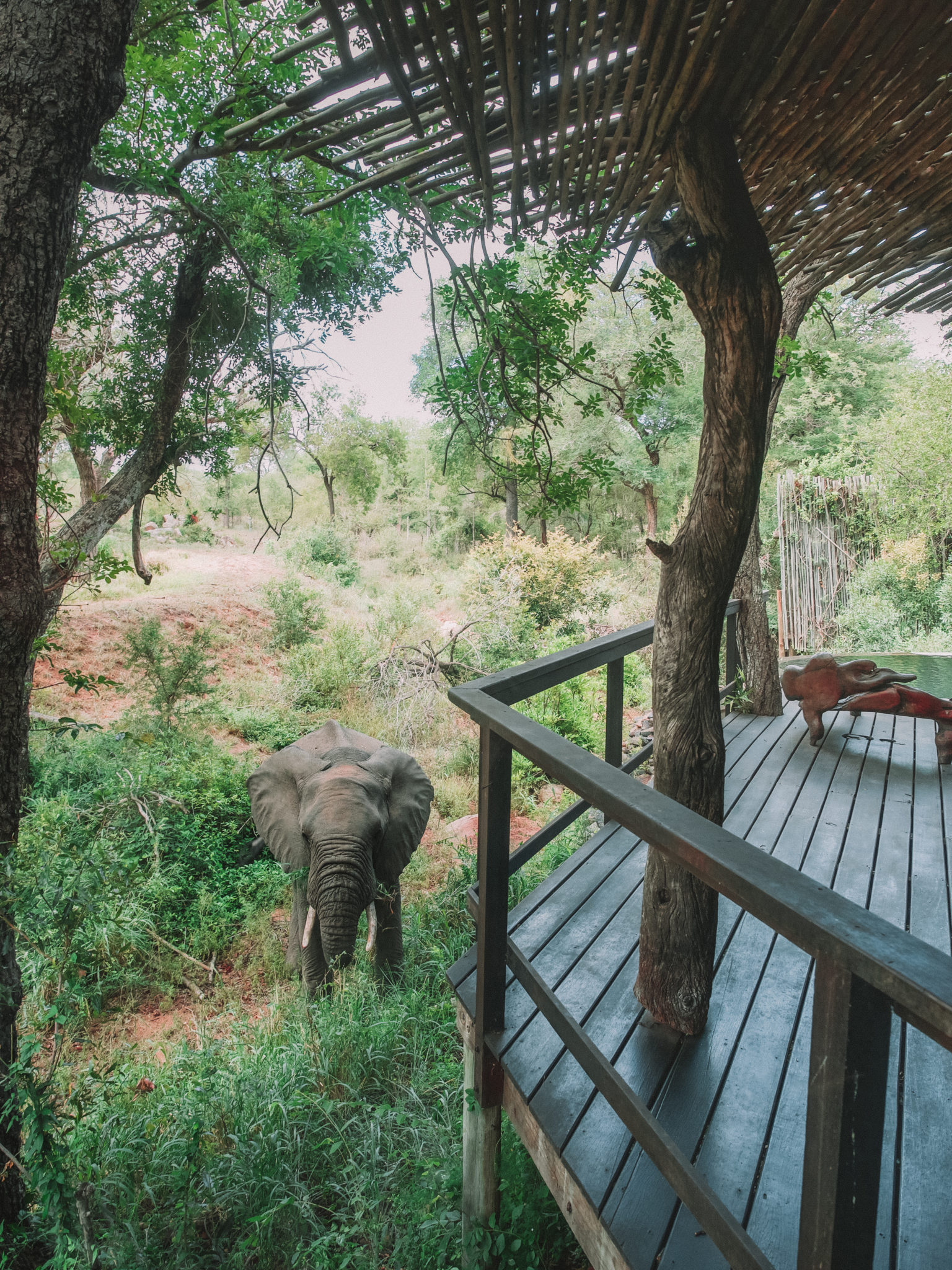 Lodge Singita Boulders |  MUNDO DE WANDERLUST