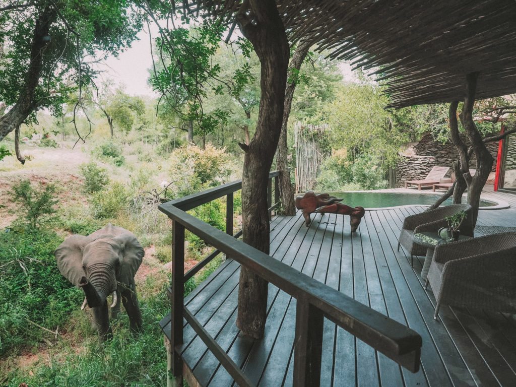 Singita Boulders Lodge |  WELT DER WANDERLUSTE