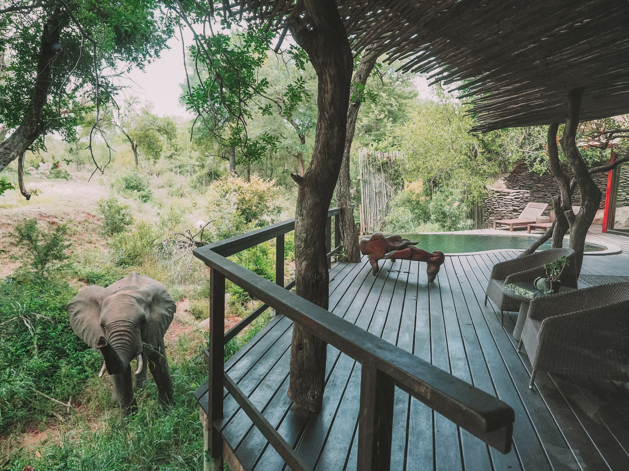 best safari lodges in world