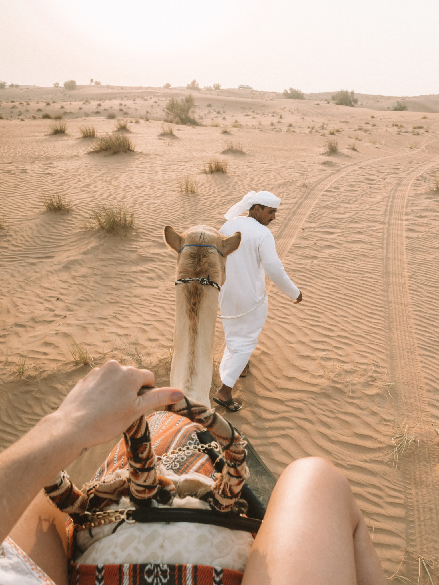 World of Wanderlust in Dubai